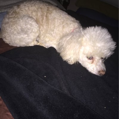 PaulaEd08267600's profile picture. 