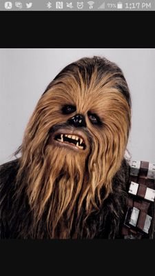 AAAHHHHHHHAHAAHHAAAHAH Han was the real og. H8 Kylo Ren.