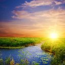 Tom Drew - @Skullbonian - Twitter