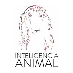 Médica Veterinaria Clara Pelliza Coderch
Máster en Comportamiento Animal de University of Lincoln, Inglaterra. Trabajando para animales y dueños mas felices!