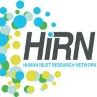 HIRN (@hirn_cc) 's Twitter Profile