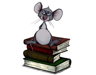 sarahsausestift's profile picture. 