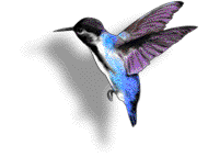 Crazy webmaster webmentor Parent of 5  Grandparent of 3 Young in mind body and heart :)