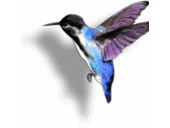 Faith McNulty - @site_4us - Twitter