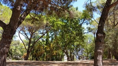 gsbv73529's profile picture. 