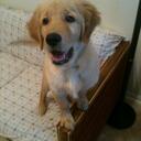 Jonathan Wu - @jetsman617 - Twitter