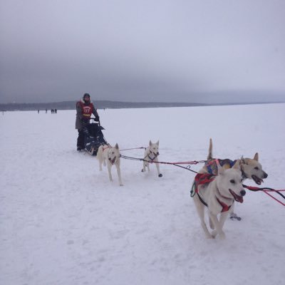 realbeargrease's profile picture. 