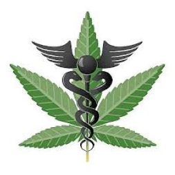 Studying the perceived efficacy of different strains of medical marijuana to benefit patients.