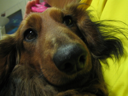 io0019's profile picture. 子育て頑張るパパ/iPad買いました/旅行好き/マイラー(JAL)/水曜どうでしょうファン/TBS JUNK好き/生まれは東成区/最近息子の影響でウルトラマンにハマってる/プリンスエドワード島にまた行きたい/バリにも行きたい