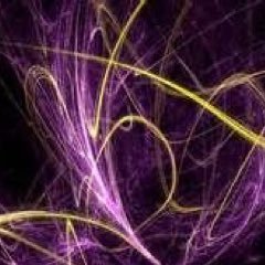 letschangejhs's profile picture. 