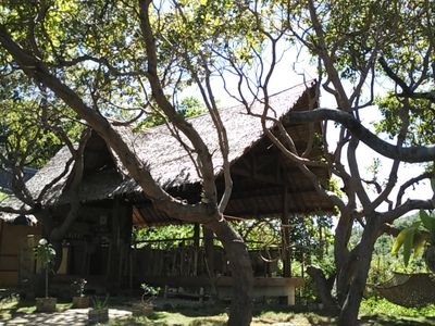 SanteriaElNido's profile picture. Boutique Guesthouse near El Nido, Palawan