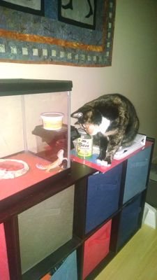 EmersonKinders's profile picture. 