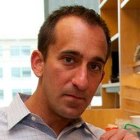 Michael Fischbach (@mfgrp) 's Twitter Profile