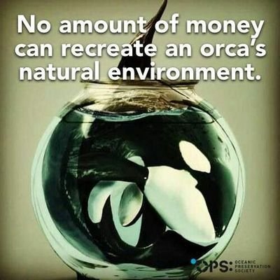 Lara_27's profile picture. Ocean & Earth lover.