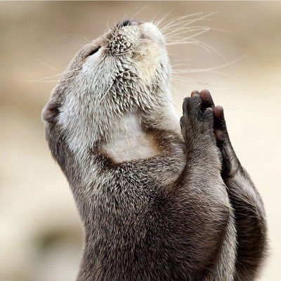 StefeinJuls's profile picture. Inspired by Life