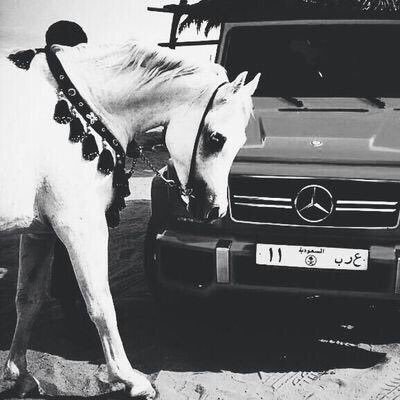 سبحان الله وبحمده،سبحان الله العظيم.