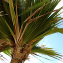 Tone Newlove - @miamitone - Twitter