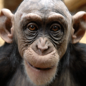 godsharp1111's profile picture. 👁