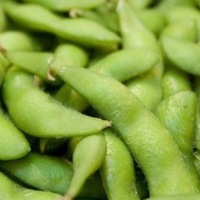 028_syk's profile picture. 