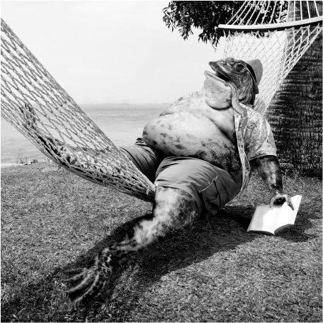 Schizoeye's profile picture. Запасной аккаунт @grishinia