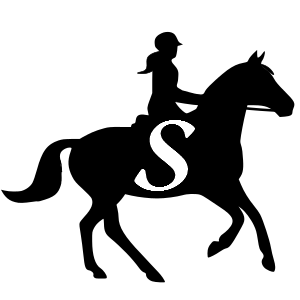 Equestrian Blog + Etsy Shop