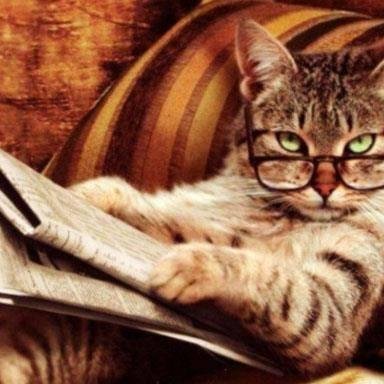 Feminista. De esquerda. Ama gatos. Acredita que livros são artigos de primeira necessidade.  Ninguém é 'cis'. Terf is a slur. 💚🤍💜 pronomes: Não/Obrigada