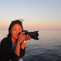 Suerie Moon (@sueriemoon) 's Twitter Profile
