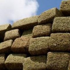 This twitter account will be dedicated to promoting cannabis law reform through the use of humor and laughter that the whole world can understand.