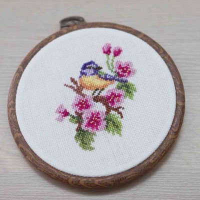 shorog_alamoudi's profile picture. 