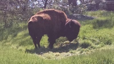 VirgilOyos's profile picture. Patrick Henry High Class 76
living life doing well