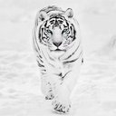 أبو أسامة (@0007Mr) Twitter