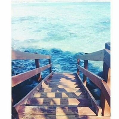 rammma88's profile picture. 