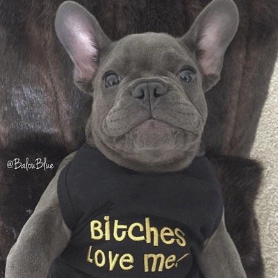 VanyaKras01's profile picture. 