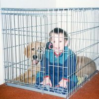 Jason Frankel (@jason_frankel) 's Twitter Profile