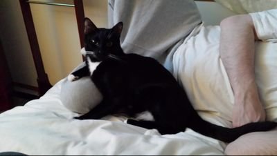 4utomagically's profile picture. Allow me to reintroduce myself.