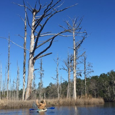 NashleyJe's profile picture. 