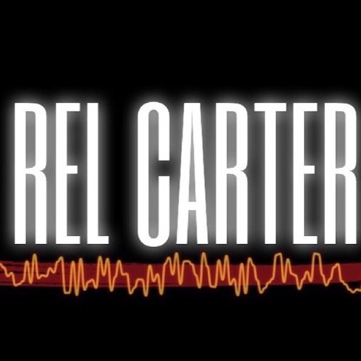Director of Artist Relations @ Equity Distro
Co-Founder of Solofunds
Co- Founder of Unanimous Games
Co- Founder Carter Boyz LLC
Rel Carter Culture Tour