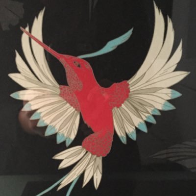 suedak1's profile picture. 