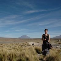 maireadnavin's profile picture. Chartered physiotherapist working in the National Rehabilitation Hospital, Dublin. Special interest in neuro-rehabilitation.