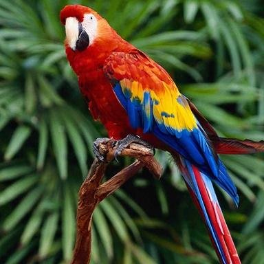 KauaiRT's profile picture. Kauai. Kauai. #Kauai