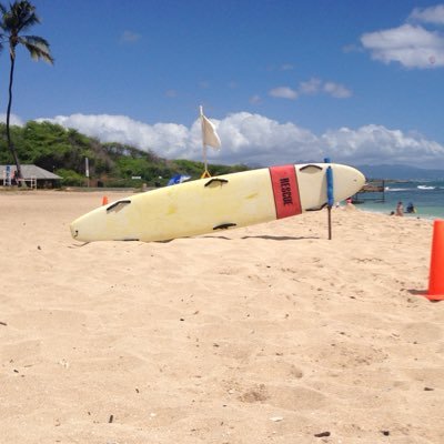 Waikiki, HAWAII USA Seller (Oahu HI) PayPal VERIFIED                   #TheeFreneticHatter