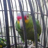 Marcos Romero (@marcosromerom) 's Twitter Profile