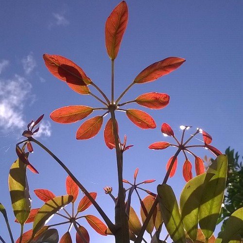 fotosde_uy's profile picture. Estoy en INSTAGRAM: fotosdeuy No uso cámara profesional, solo la del celular.