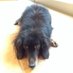 Funky Nobuo (@nobfunky) Twitter profile photo Funky Nobuo (@nobfunky) Twitter profile photo