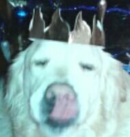 tsdp87's profile picture. 