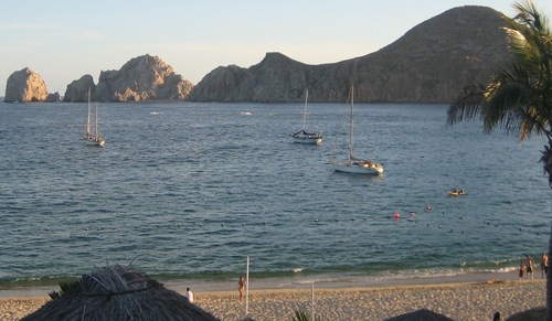 fitz16's profile picture. 