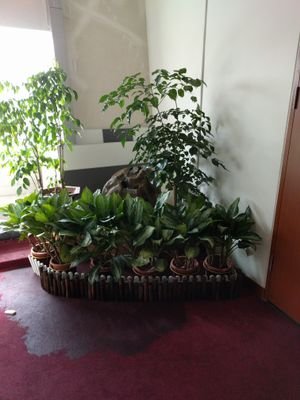 Mike9912533132's profile picture. 