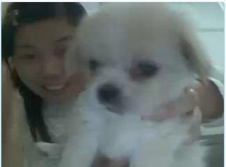 barryngai88's profile picture. Do you want to gain US100,000 dollars per month? If so, pls twitter with me!