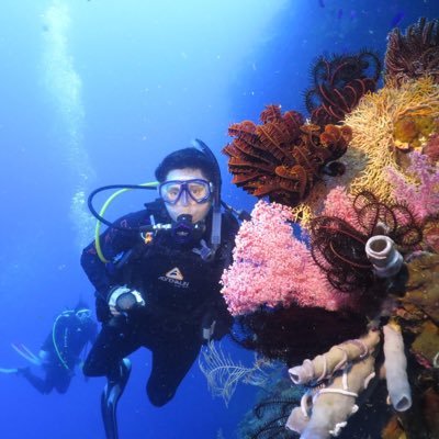 LorrieGughlia's profile picture. 