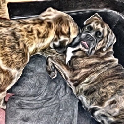 Ich ❤️ meine Family, Hunde und Je nach Stimmung Musik (Metal,Blues und Hardrock)